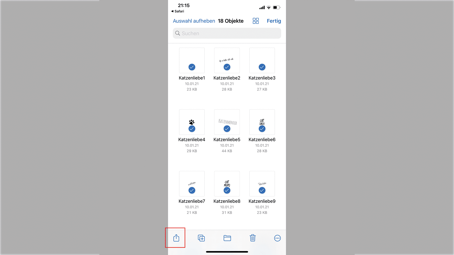 Anleitung-Iphone_10 Anleitung-Iphone_10